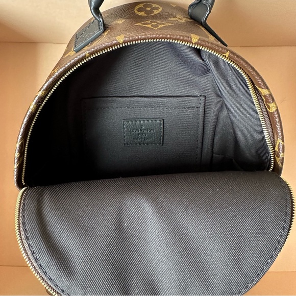 Louis Vuitton Palm Springs Mini - Picture 5 of 9